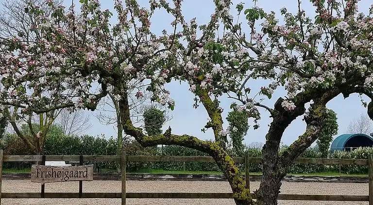 "Kornloftet" – smuk bolig i gammel lade