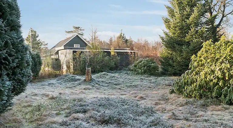 Rolig ferie i Hemmet – 300 m til vandet