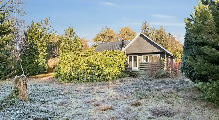 Rolig ferie i Hemmet – 300 m til vandet