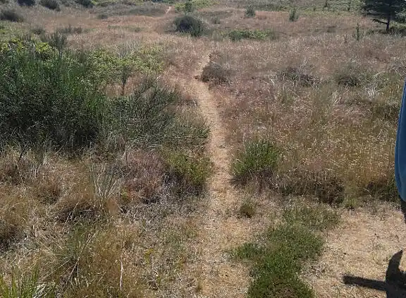Ferienhaus auf einem riesigen  Naturgrundstück