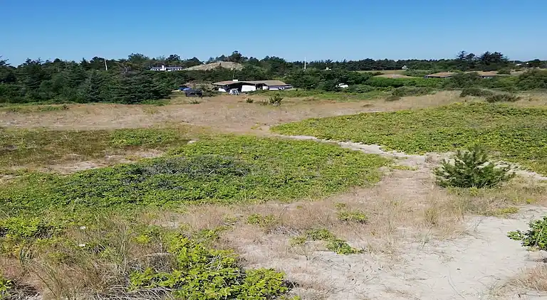 Ferienhaus auf einem riesigen  Naturgrundstück