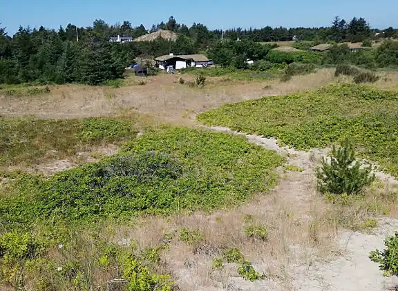 Ferienhaus auf einem riesigen  Naturgrundstück