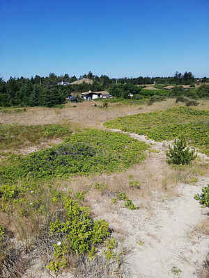 Feriehus på en kæmpe strand- og naturgrund