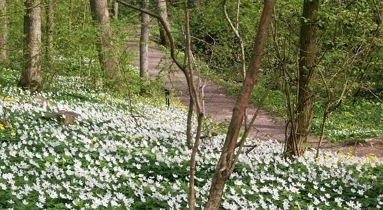 Acogedora villa cerca del lago y la naturaleza y de Liseberg