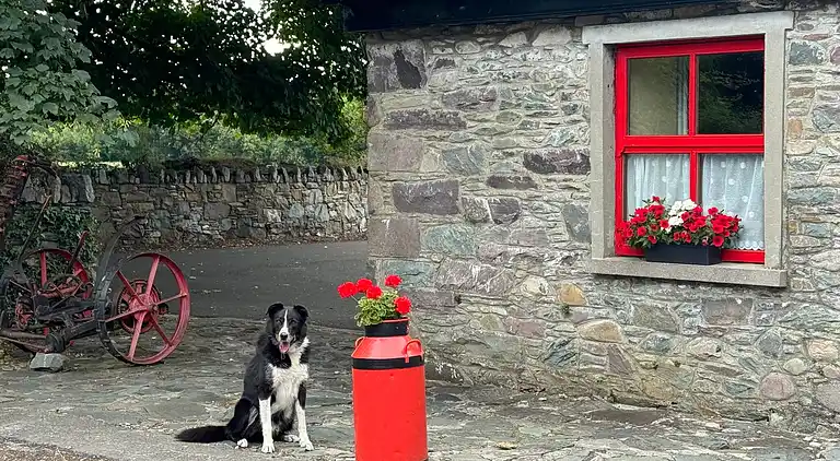 Cosy Farm Cottage on the Ring of Kerry