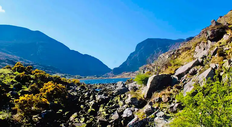 Cosy Farm Cottage on the Ring of Kerry