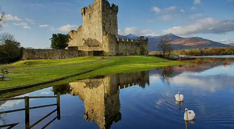 Cosy Farm Cottage on the Ring of Kerry