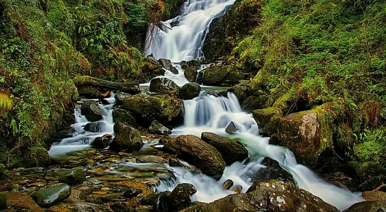 Cosy Farm Cottage on the Ring of Kerry