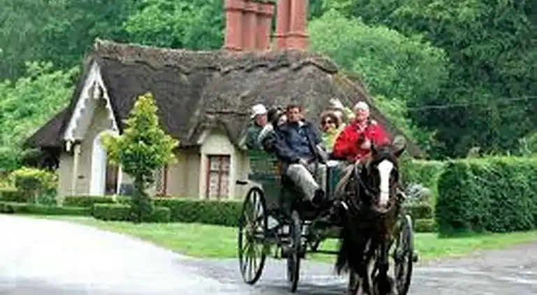 Cosy Farm Cottage on the Ring of Kerry