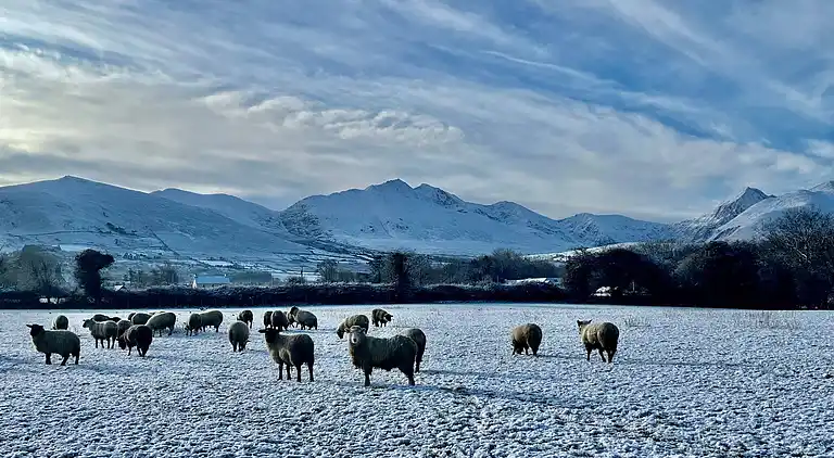 Cosy Farm Cottage on the Ring of Kerry
