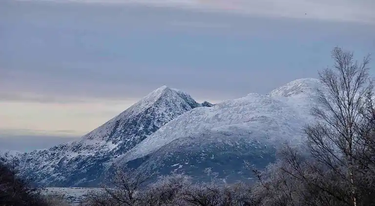 Cosy Farm Cottage on the Ring of Kerry