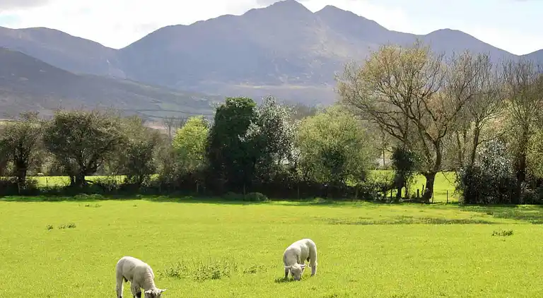 Cosy Farm Cottage on the Ring of Kerry