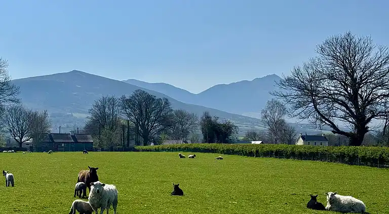 Cosy Farm Cottage on the Ring of Kerry