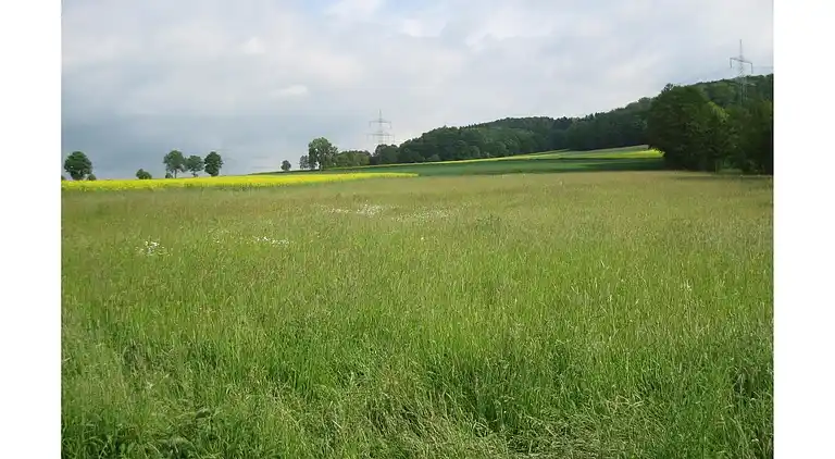 Apartment in Waßmuthshausen