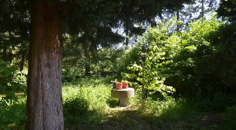 Apartment in Waßmuthshausen