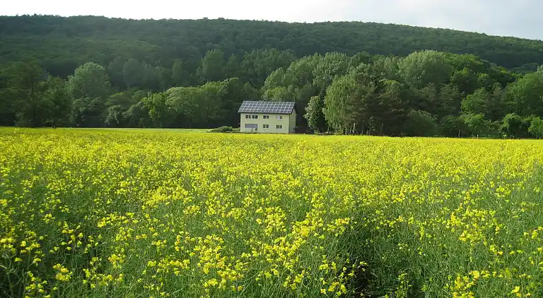 Apartment in Waßmuthshausen