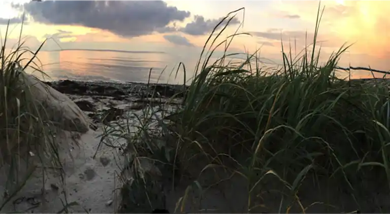Schönes Ferienhaus am schönen Kongsmark Strand.