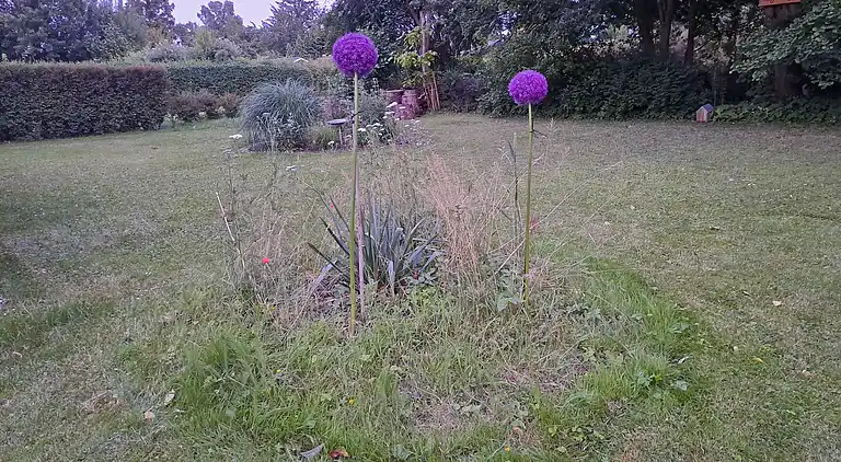 Natur, Ruhe und Gemütlichkeit nahe Wald & Strand