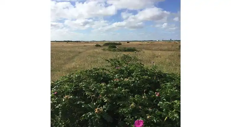 Holiday home in Sylt-Ost