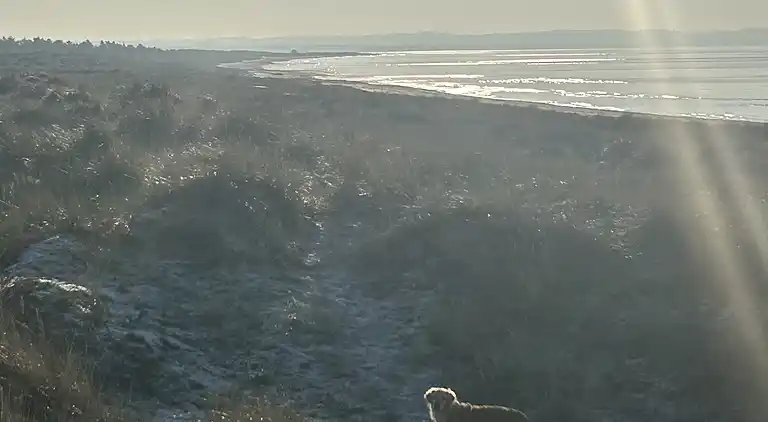 Hyggeligt sommerhus med plads til leg for alle 