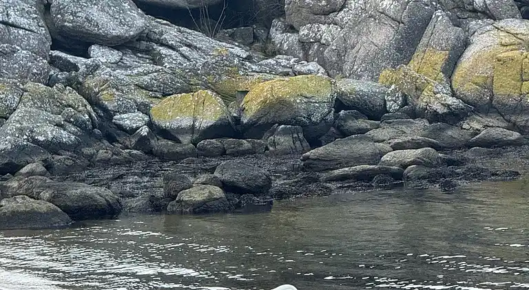 Fiskerhus med skøn  havudsigt ved Listed havn.