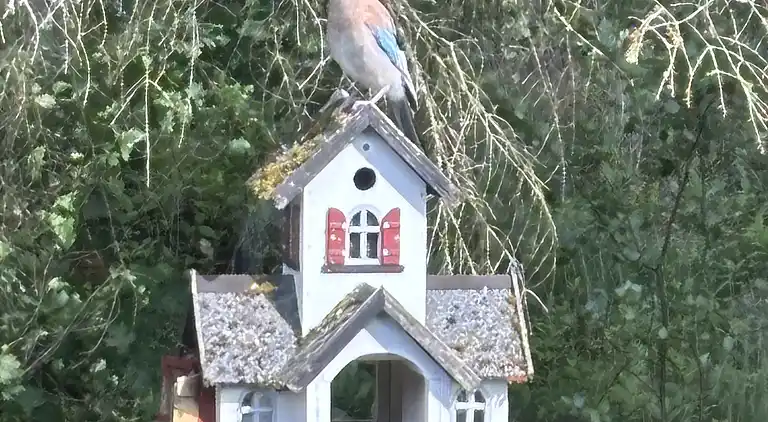 Sommerhus Fauna Hou, Hals, 300 meter fra havet