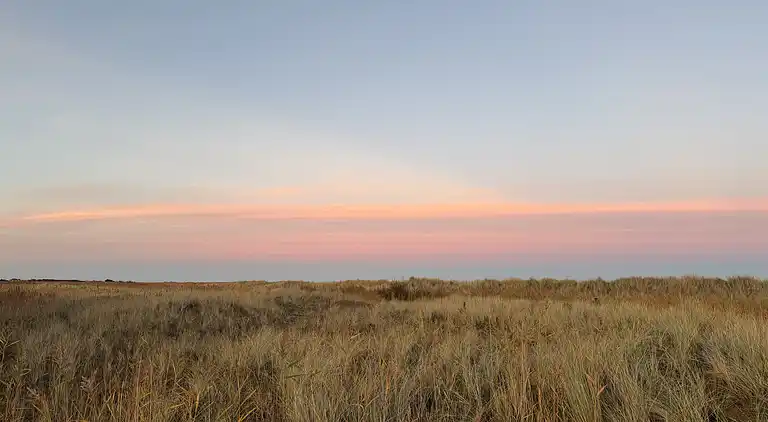 Sommerhus Fauna Hou, Hals, 300 meter fra havet