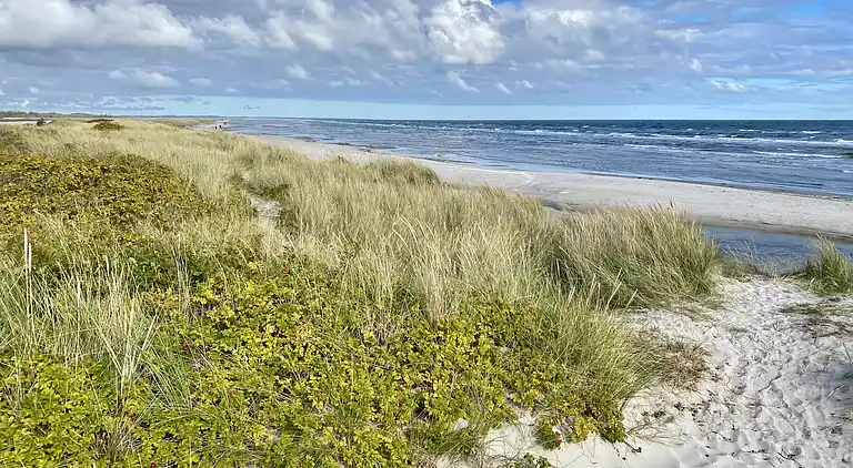 Sommerhus Fauna Hou, Hals, 300 meter fra havet