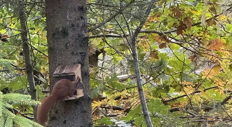Sommerhus Fauna Hou, Hals, 300 meter fra havet