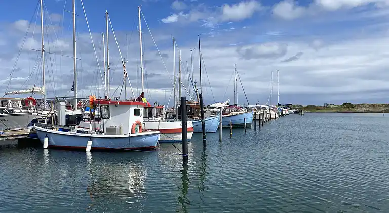 Sommerhus Fauna Hou, Hals, 300 meter fra havet