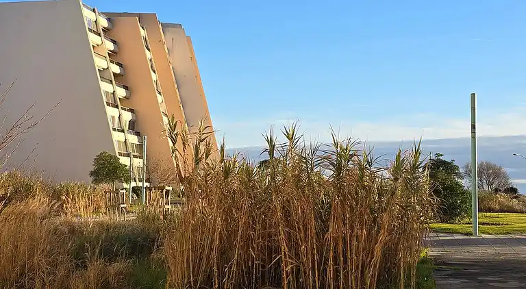 Wohnung mit Blick auf den Pier von Saint-Jean-de-Monts