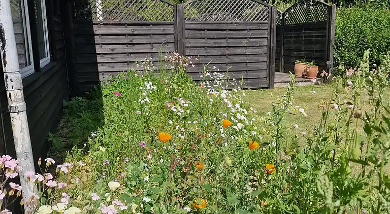 🌞 Attraktivt og lyst sommerhus i Hals