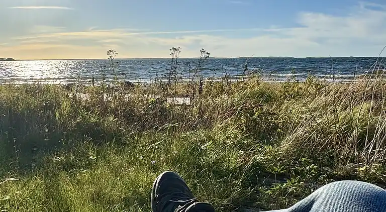 Panoramic view at the shore of Lake Vänern
