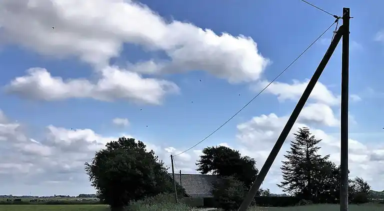 Holiday home in Westdorf