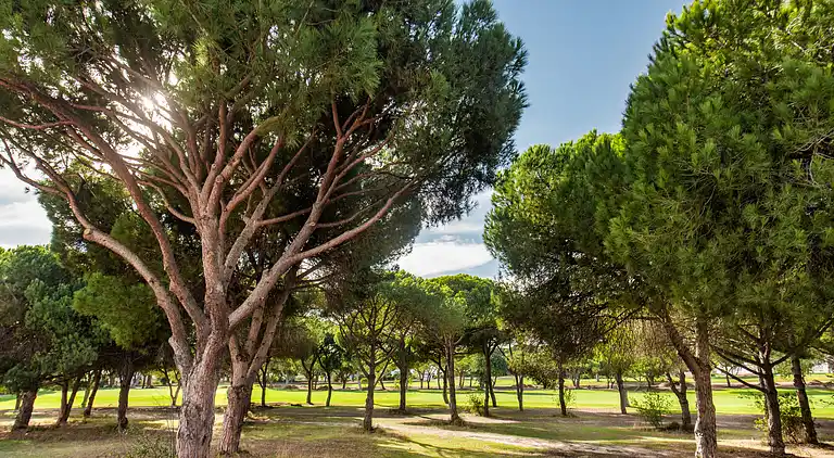 Altes Dorfgebiet und in der Nähe aller Annehmlichkeiten, mit