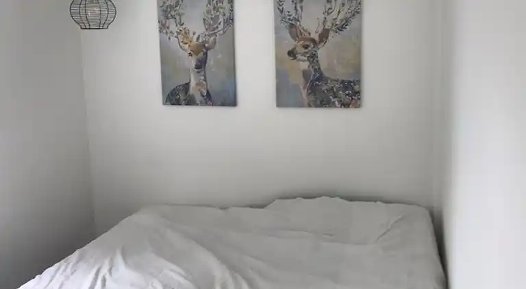 Lyst feriehus i grønne omgivelser nær vandet