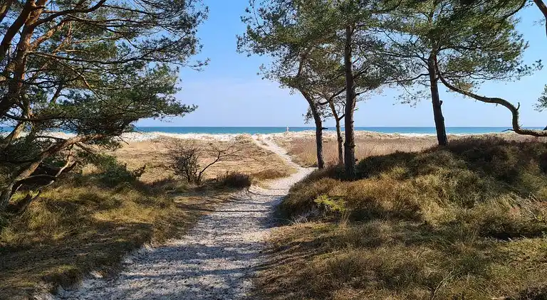 Lys feriebolig nær strand og pool i Dueodde
