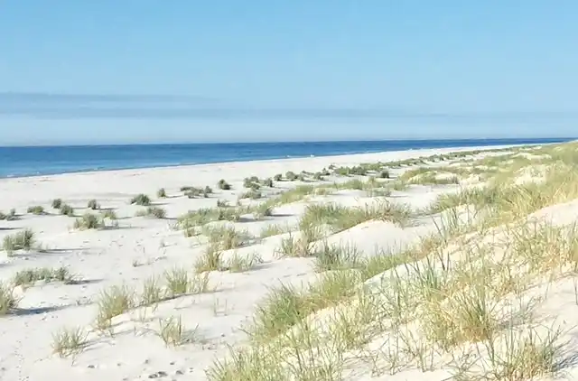 Lys feriebolig nær strand og pool i Dueodde