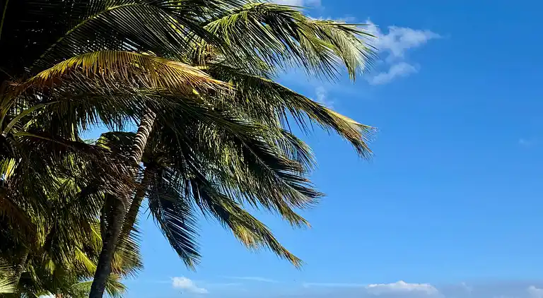 Juan Dolio 2BR Apt direkt am Strand