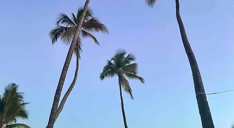 Juan Dolio 2BR Apt direkt am Strand