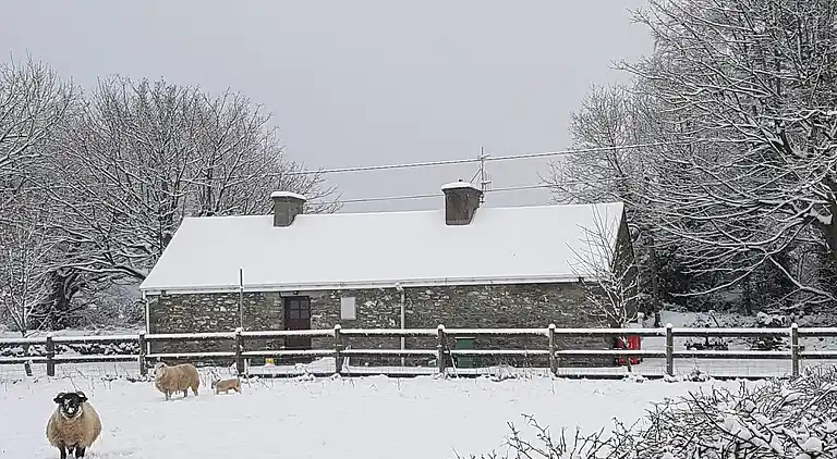 Cosy Farm Cottage on the Ring of Kerry
