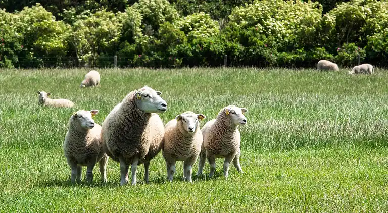 Casa vacanze in Thyholm