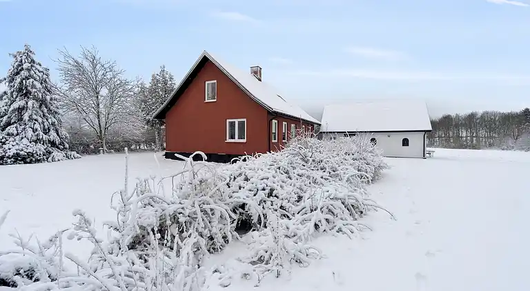 Geräumiges Ferienhaus in Bornholms Natur