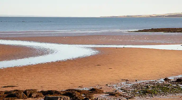 Gemütliches Mobilheim mit 3 Schlafzimmern in Longniddry,