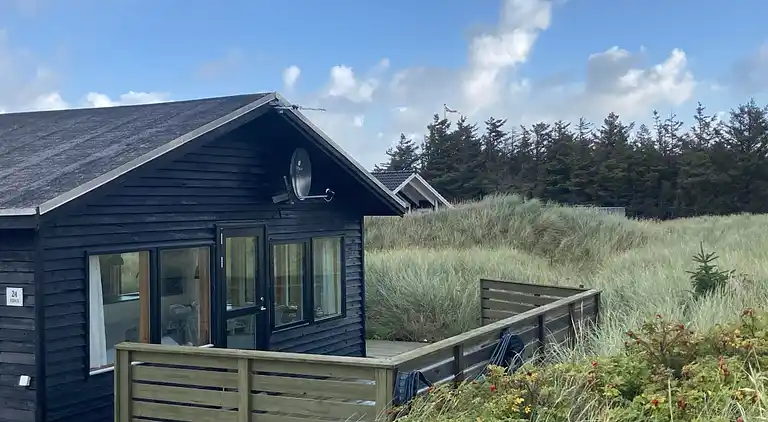 Schönes Ferienhaus im herrlichen Dünengebiet