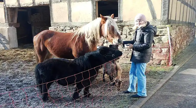 Ferienwohnung in Hüddingen