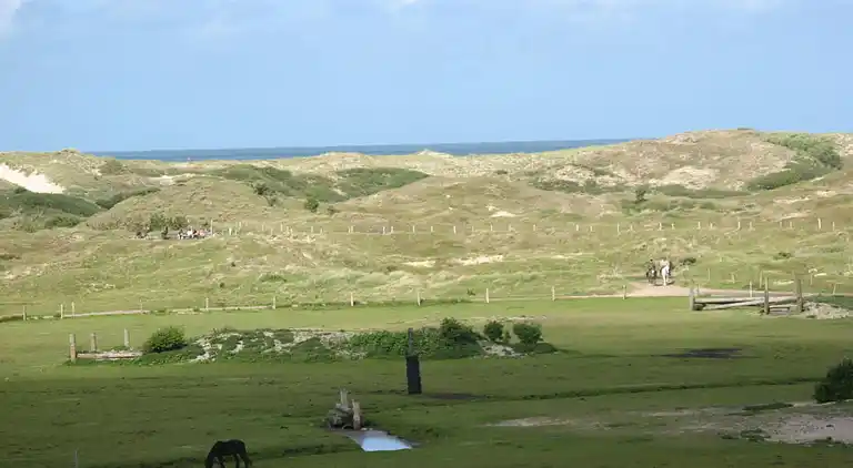 Holiday home in Norderney
