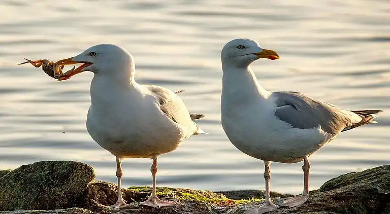 Holiday home in Borkum
