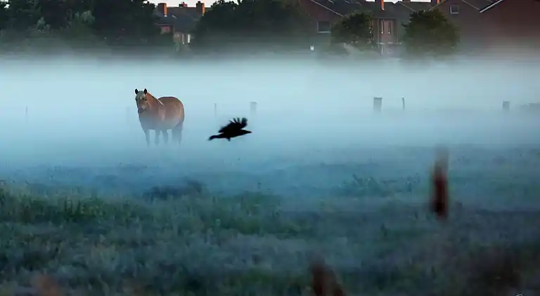 Holiday home in Borkum
