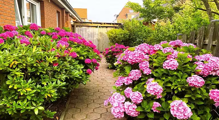 Holiday home in Borkum